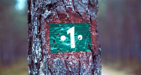 Numerología